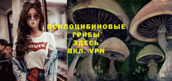 MDMA Алексин