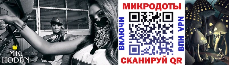 Псилоцибиновые грибы мухоморы  Грязовец 